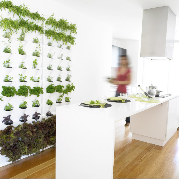 Edible Herb garden wall complements this modern white kitchen | Vertical Green - More on the RSD Blog www.rsdesigns.com.au/blog/