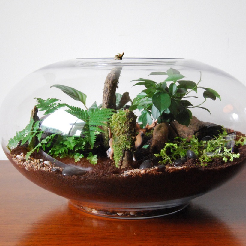 Stag in the Dark flat bowl terrarium by Bosky