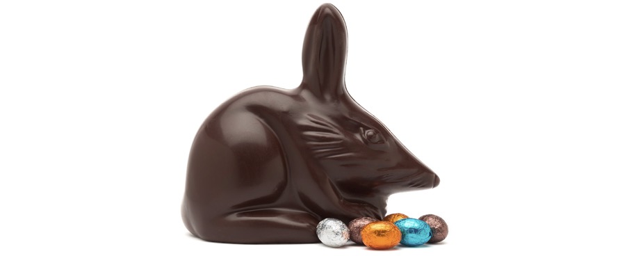 Haigh’s original Dark chocolate Bilby. Nom nom nom | More Easter treats on the RSD Blog.