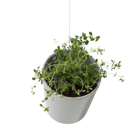 Milo hanging planter in grey by Milk + Sugar, available through Cranmore Home.